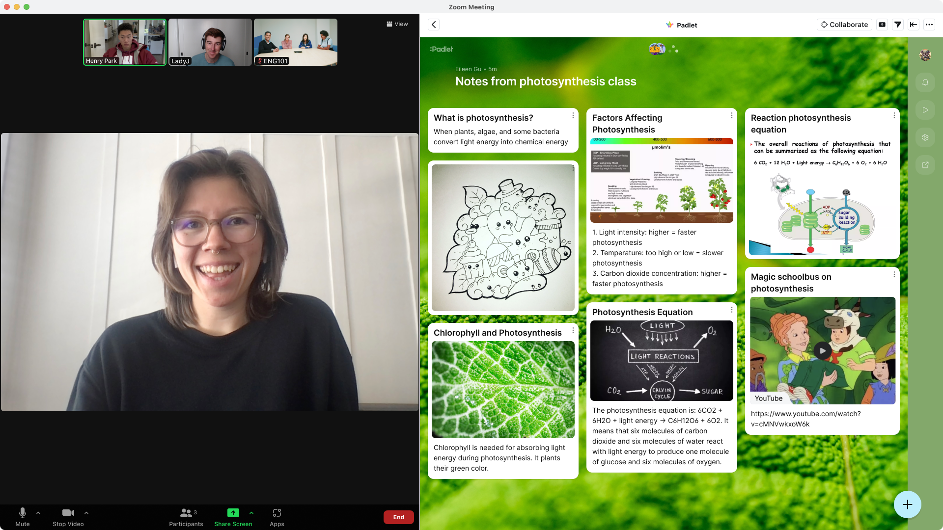 The padlet zoom app in action. A zoom meeting screen alongside a padlet with a green wallpaper.