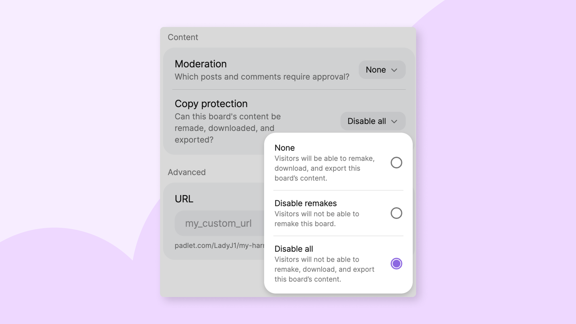 Screenshot of the settings panel with copy protection turned on.