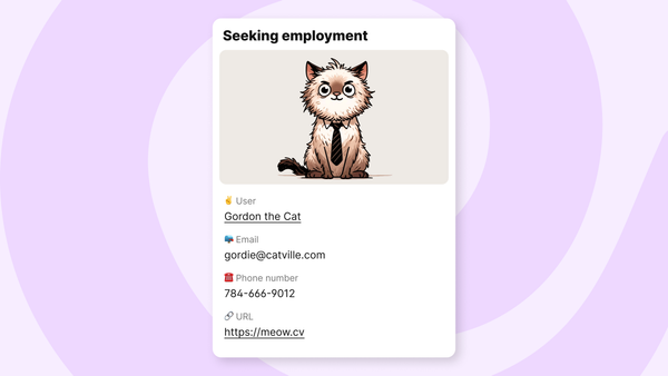 A padlet post showing all four new custom fields: user, email, phone number, and URL.